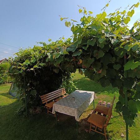 Apartamento Cookies Old House Visoko Exterior foto